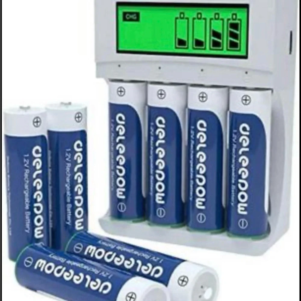 Battery Charger with Blue Rechargeable Batteries